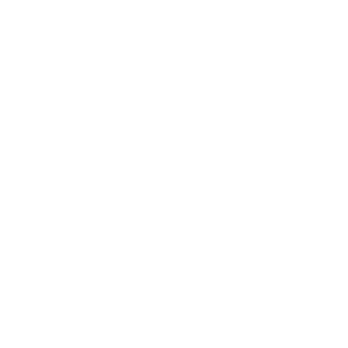 Xiaohongshu